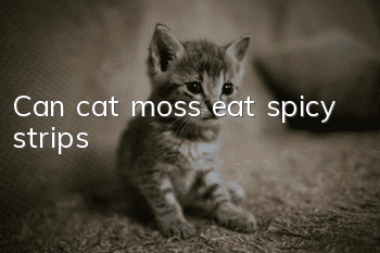 Can cat moss eat spicy strips?