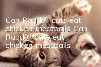 Can Ragdoll cats eat chicken meatballs? Can Ragdoll cats eat chicken meatballs?
