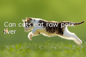 Can cats eat raw pork liver?