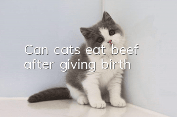 Can cats eat beef after giving birth?