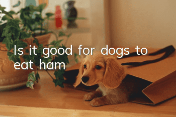 Is it good for dogs to eat ham?