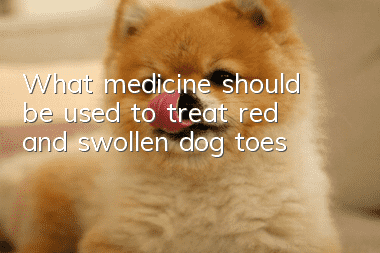 What medicine should be used to treat red and swollen dog toes?