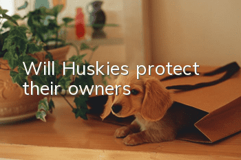Will Huskies protect their owners?