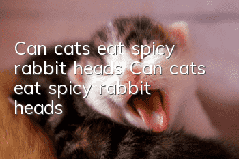 Can cats eat spicy rabbit heads? Can cats eat spicy rabbit heads?