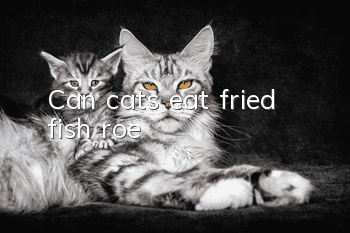 Can cats eat fried fish roe?