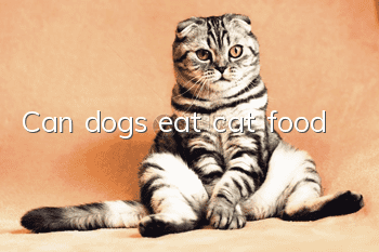 Can dogs eat cat food?
