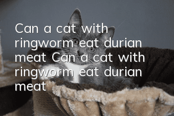 Can a cat with ringworm eat durian meat? Can a cat with ringworm eat durian meat?