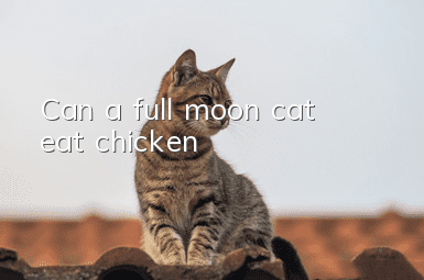 Can a full moon cat eat chicken?