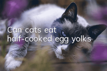 Can cats eat half-cooked egg yolks?