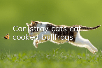 Can stray cats eat cooked bullfrogs?