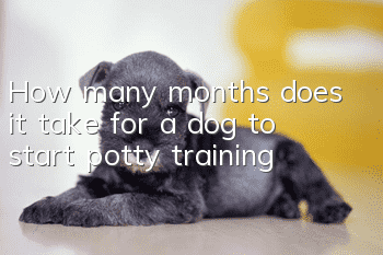 How many months does it take for a dog to start potty training?