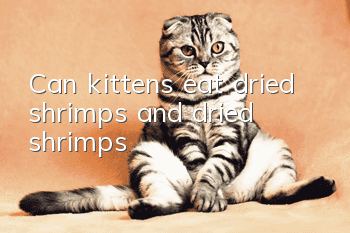 Can kittens eat dried shrimps and dried shrimps?