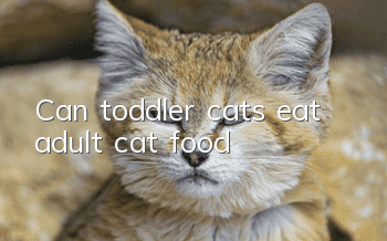 Can toddler cats eat adult cat food?