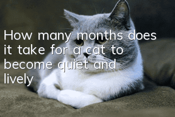 How many months does it take for a cat to become quiet and lively?