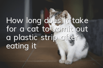 How long does it take for a cat to vomit out a plastic strip after eating it?