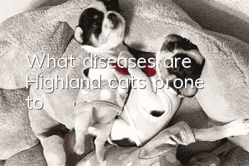 What diseases are Highland cats prone to?
