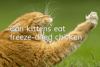 Can kittens eat freeze-dried chicken?