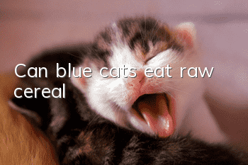 Can blue cats eat raw cereal?