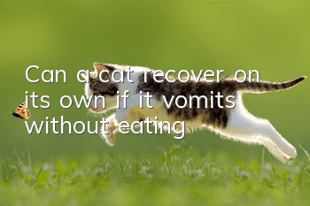 Can a cat recover on its own if it vomits without eating?