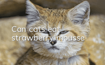 Can cats eat strawberry mousse?