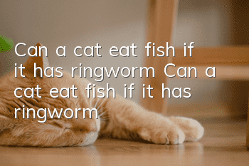 Can a cat eat fish if it has ringworm? Can a cat eat fish if it has ringworm?