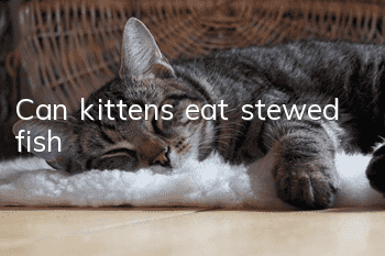 Can kittens eat stewed fish?