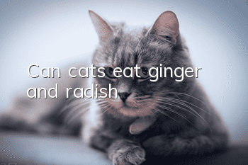 Can cats eat ginger and radish?