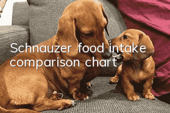 Schnauzer food intake comparison chart