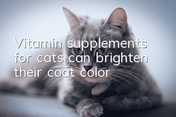 Vitamin supplements for cats can brighten their coat color