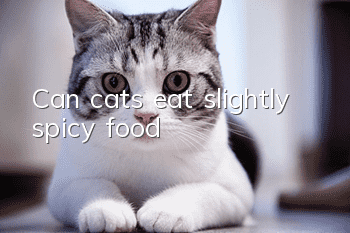 Can cats eat slightly spicy food?