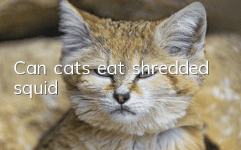 Can cats eat shredded squid?