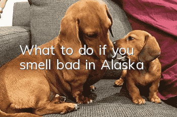 What to do if you smell bad in Alaska