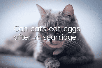 Can cats eat eggs after miscarriage?
