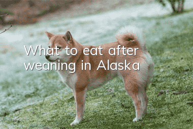 What to eat after weaning in Alaska