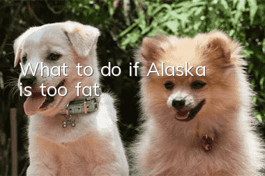 What to do if Alaska is too fat