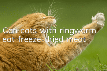 Can cats with ringworm eat freeze-dried meat?