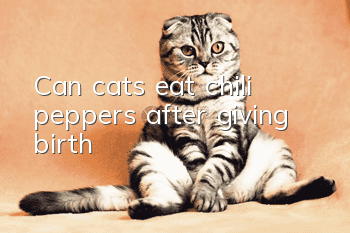 Can cats eat chili peppers after giving birth?