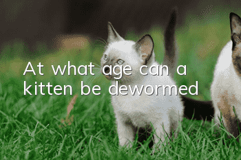 At what age can a kitten be dewormed?