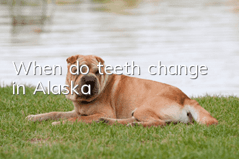 When do teeth change in Alaska?