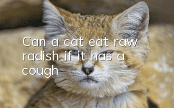 Can a cat eat raw radish if it has a cough?