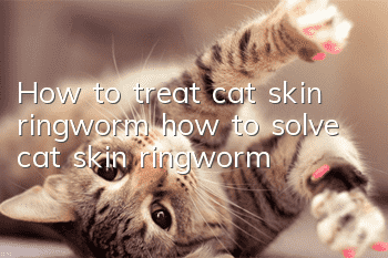 How to treat cat skin ringworm, how to solve cat skin ringworm?