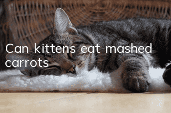 Can kittens eat mashed carrots?