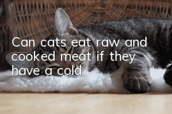 Can cats eat raw and cooked meat if they have a cold?