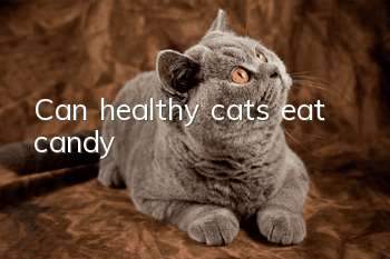 Can healthy cats eat candy?