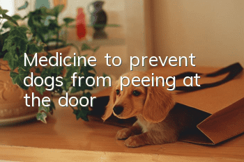 Medicine to prevent dogs from peeing at the door