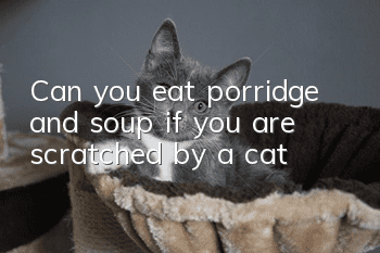 Can you eat porridge and soup if you are scratched by a cat?
