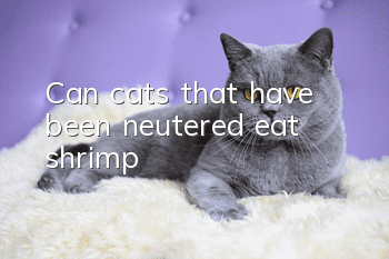 Can cats that have been neutered eat shrimp?