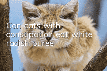 Can cats with constipation eat white radish puree?