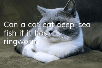 Can a cat eat deep-sea fish if it has ringworm?
