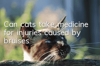 Can cats take medicine for injuries caused by bruises?